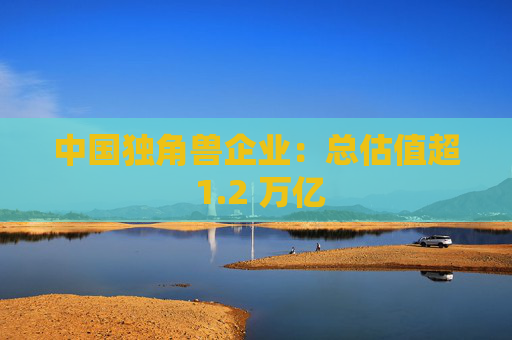 中国独角兽企业：总估值超 1.2 万亿
