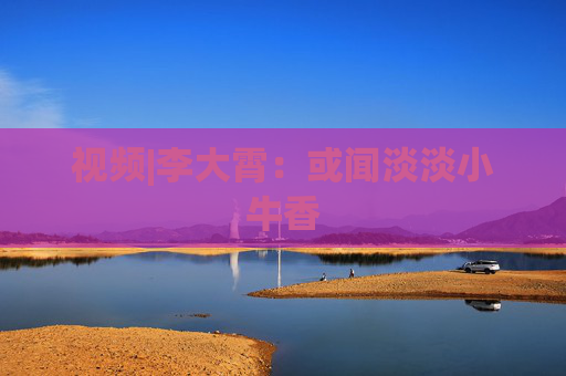 视频|李大霄：或闻淡淡小牛香