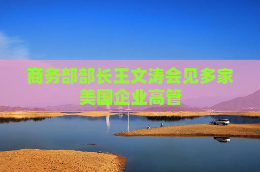 商务部部长王文涛会见多家美国企业高管