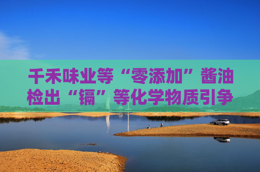 千禾味业等“零添加”酱油检出“镉”等化学物质引争议，九问“零添加”