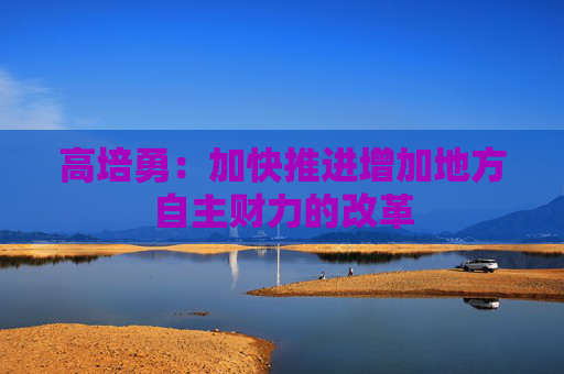 高培勇：加快推进增加地方自主财力的改革