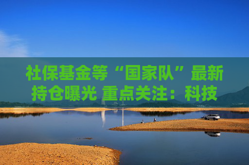 社保基金等“国家队”最新持仓曝光 重点关注：科技赛道与高股息板块