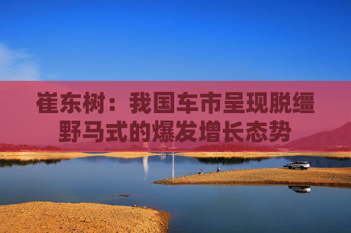 崔东树：我国车市呈现脱缰野马式的爆发增长态势