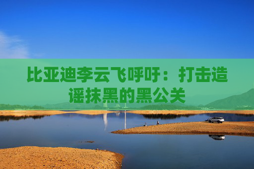 比亚迪李云飞呼吁：打击造谣抹黑的黑公关