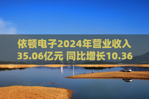 依顿电子2024年营业收入35.06亿元 同比增长10.36%