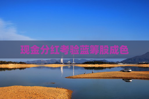 现金分红考验蓝筹股成色