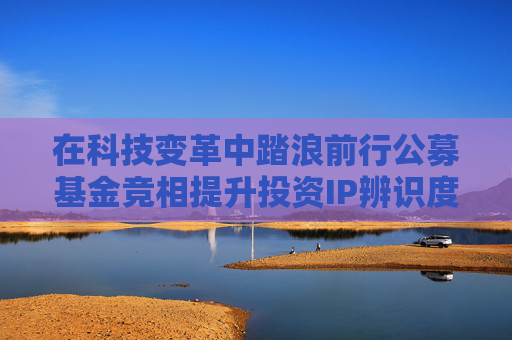 在科技变革中踏浪前行公募基金竞相提升投资IP辨识度