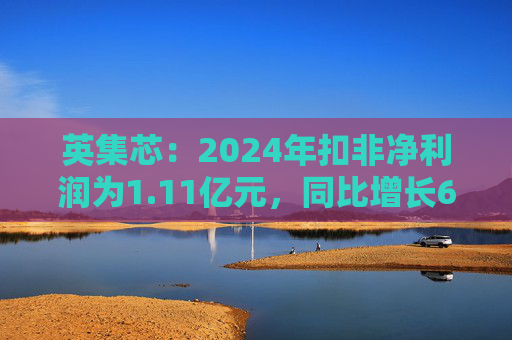 英集芯：2024年扣非净利润为1.11亿元，同比增长607.94%