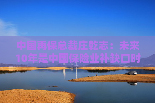 中国再保总裁庄乾志：未来10年是中国保险业补缺口时期
