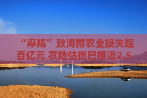 “摩羯”致海南农业损失超百亿元 农险估损已接近2.5亿元