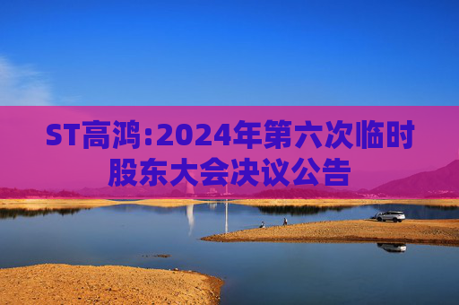 ST高鸿:2024年第六次临时股东大会决议公告