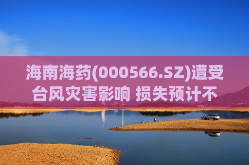 海南海药(000566.SZ)遭受台风灾害影响 损失预计不超1500万元