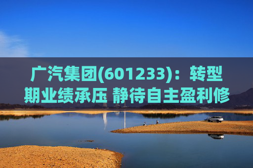 广汽集团(601233)：转型期业绩承压 静待自主盈利修复
