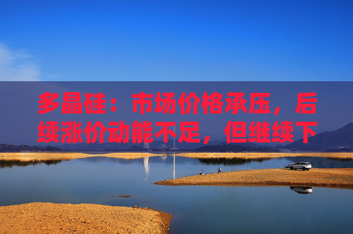多晶硅：市场价格承压，后续涨价动能不足，但继续下行概率也较小