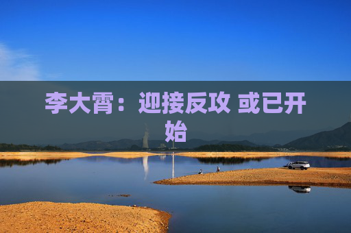 李大霄：迎接反攻 或已开始