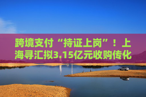 跨境支付“持证上岗”！上海寻汇拟3.15亿元收购传化支付，多家跨境支付服务商布局境内支付牌照