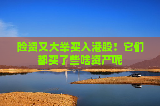 险资又大举买入港股！它们都买了些啥资产呢