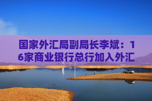 国家外汇局副局长李斌：16家商业银行总行加入外汇展业改革 今年还会进一步扩大覆盖面
