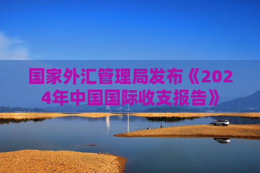 国家外汇管理局发布《2024年中国国际收支报告》