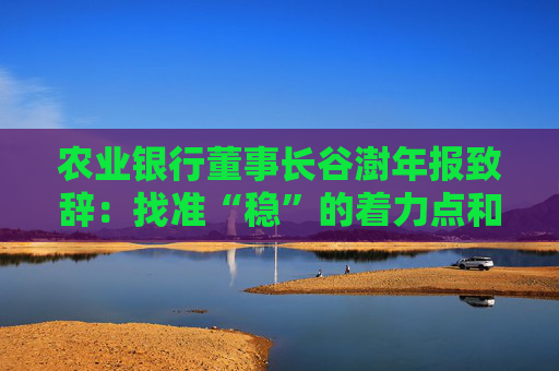 农业银行董事长谷澍年报致辞：找准“稳”的着力点和“进”的主攻方向