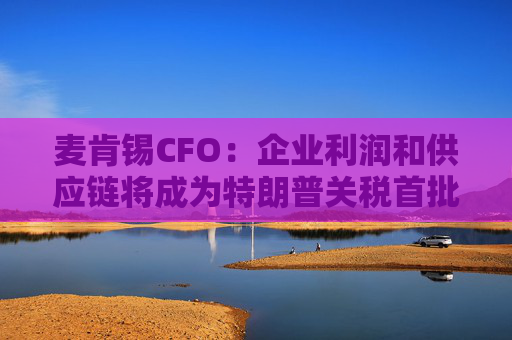 麦肯锡CFO：企业利润和供应链将成为特朗普关税首批牺牲品
