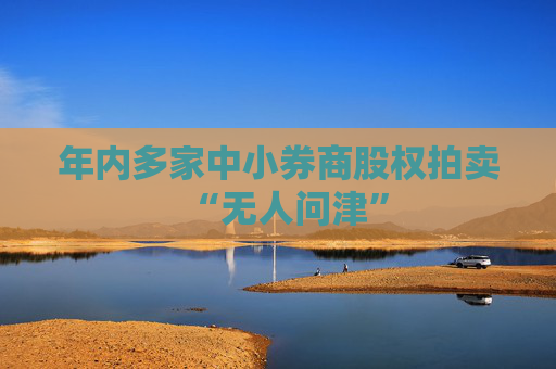 年内多家中小券商股权拍卖“无人问津”