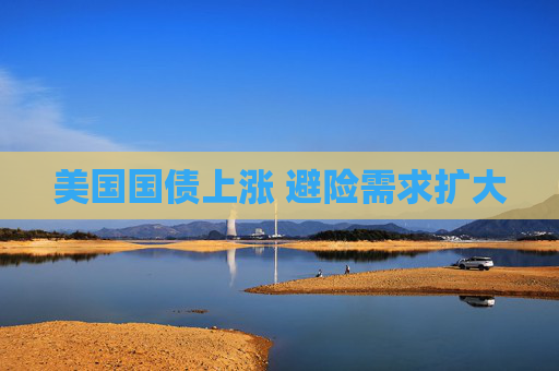 美国国债上涨 避险需求扩大