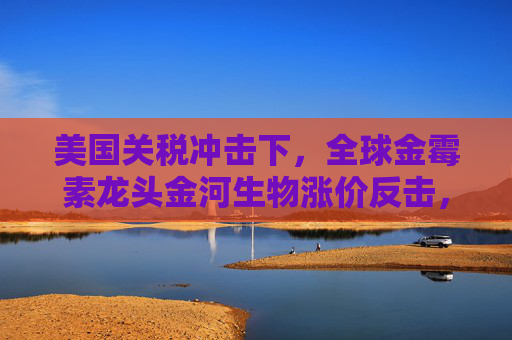 美国关税冲击下，全球金霉素龙头金河生物涨价反击，股价逆势大涨