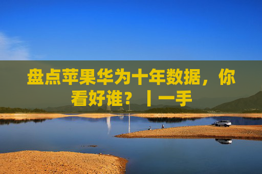 盘点苹果华为十年数据，你看好谁？丨一手