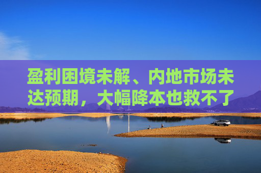 盈利困境未解、内地市场未达预期，大幅降本也救不了快狗打车