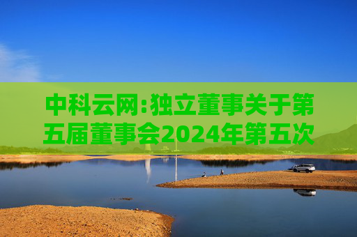 中科云网:独立董事关于第五届董事会2024年第五次（临时）会议相关事项的独立意见