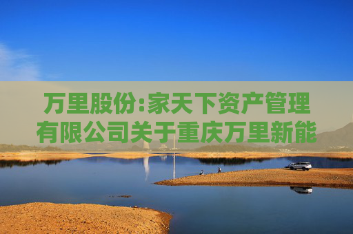万里股份:家天下资产管理有限公司关于重庆万里新能源股份有限公司股票交易异常波动的回函