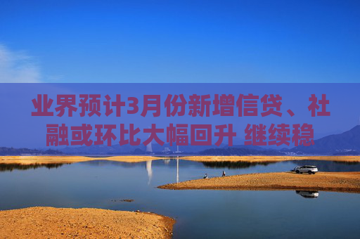 业界预计3月份新增信贷、社融或环比大幅回升 继续稳固支持实体经济的力度