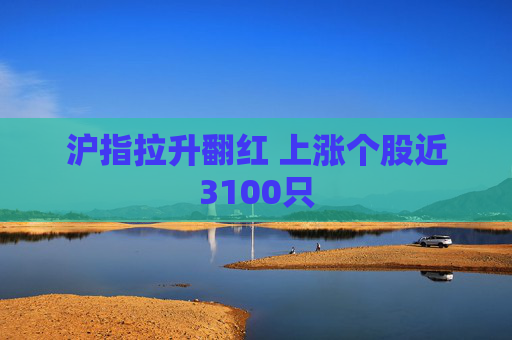 沪指拉升翻红 上涨个股近3100只
