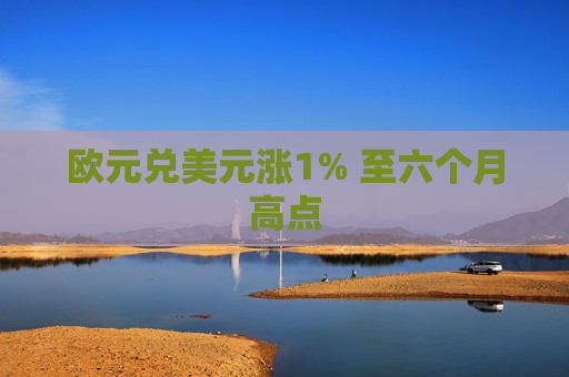 欧元兑美元涨1% 至六个月高点