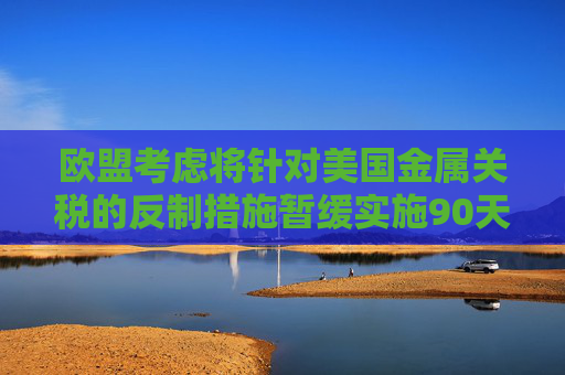 欧盟考虑将针对美国金属关税的反制措施暂缓实施90天