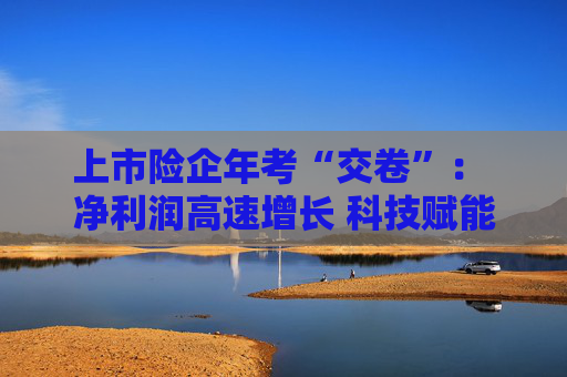 上市险企年考“交卷”： 净利润高速增长 科技赋能加速落地