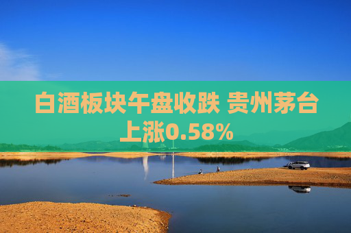 白酒板块午盘收跌 贵州茅台上涨0.58%