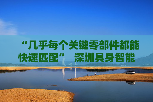 “几乎每个关键零部件都能快速匹配”  深圳具身智能生态先行一步