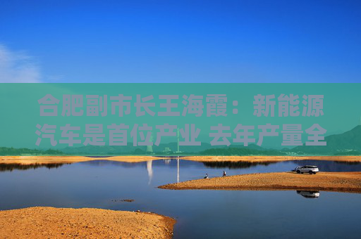 合肥副市长王海霞：新能源汽车是首位产业 去年产量全国第二