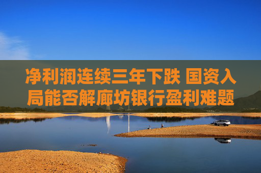 净利润连续三年下跌 国资入局能否解廊坊银行盈利难题