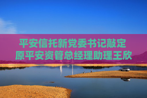 平安信托新党委书记敲定 原平安资管总经理助理王欣接棒方蔚豪