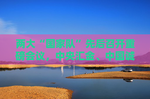 两大“国家队”先后召开重磅会议，中央汇金、中国诚通分别部署了哪些重点任务？