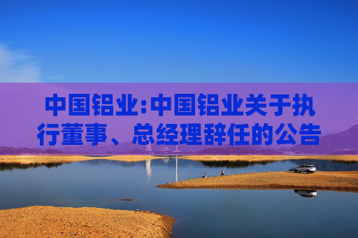 中国铝业:中国铝业关于执行董事、总经理辞任的公告
