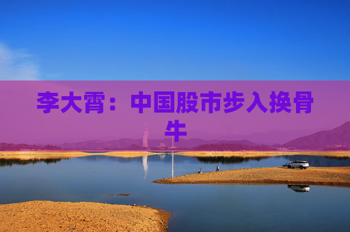 李大霄：中国股市步入换骨牛