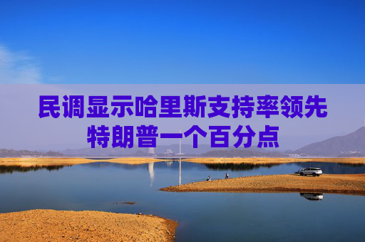 民调显示哈里斯支持率领先特朗普一个百分点