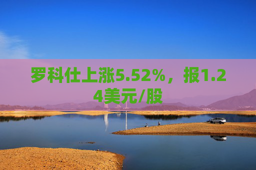 罗科仕上涨5.52%，报1.24美元/股