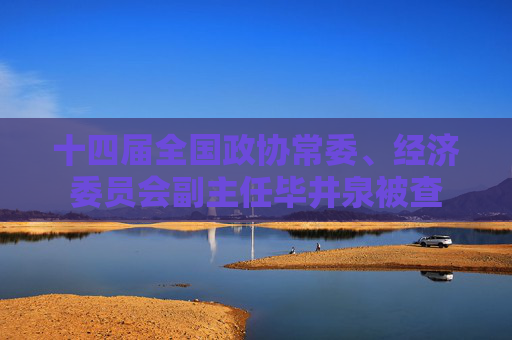 十四届全国政协常委、经济委员会副主任毕井泉被查