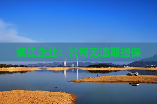 紫江企业：公司无逾期担保