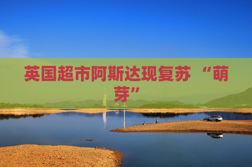 英国超市阿斯达现复苏 “萌芽”